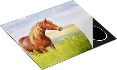 Chefcare Inductie Beschermer Bruin Paard in de Wei - 60x50 cm - Afdekplaat Inductie - Kookplaat Beschermer - Inductie Mat