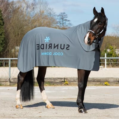 Koeldeken Paard - Verdampingsdeken Paardrijden - Paard Koelen - Direct Verdampingskoel Effect - 125 cm - Grijs