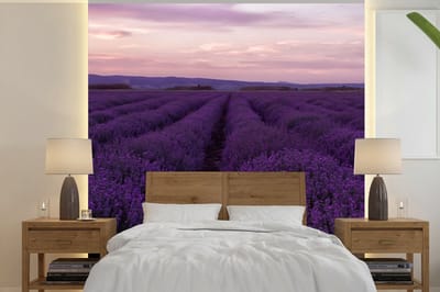 Behang - Fotobehang Lavendel - Paars - Bloemen - Natuur - Breedte 350 cm x hoogte 350 cm