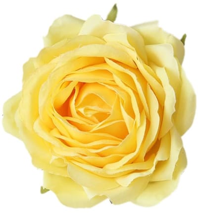 Kunstrozen, bloemkoppen, 10 stuks, decoratieve bloemen, kunstbloemen, rozenkoppen, diameter 9 cm, kunstbloemen, rozen, bloemkoppen, voor Valentijnsdag, Moederdag, bruiloft, feest,