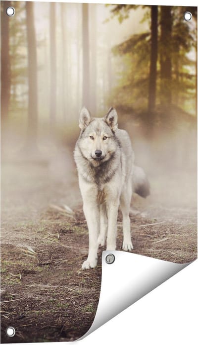 Gards Tuinposter Grijze Wolf in het Bos - 40x60 cm - Tuindoek - Tuindecoratie - Wanddecoratie buiten - Tuinschilderij
