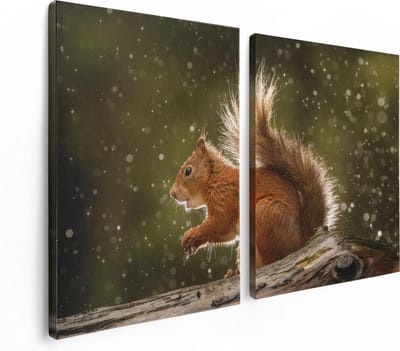 Artaza Canvas Schilderij Tweeluik Eekhoorn in de Regen - 120x80 - Foto Op Canvas - Canvas Print