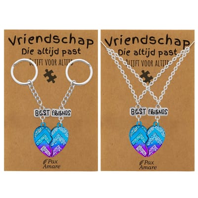 BFF Ketting + Sleutelhanger voor 2 'Vriendschap die altijd past' - Magnetisch Best Friends Hartje - Bundel op Cadeau Kaartje - Zilverkleurig - Vriendschap Symbool - Pax Amare
