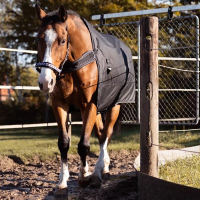2in1 outdoor en stapmolen paarden staldeken Kavalkade Halifax