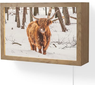 Wandlamp 30x20 cm - Oplaadbaar - Schotse Hooglander - Sneeuw - Winter - Natuur - Dieren - Wandlampen binnen woonkamer - Slaapkamer lamp met kabel - Decoratieve nachtlamp - Vloerlamp snoer