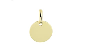 New Bling - 9NBG-0826 - 14K geelgouden Hanger – Rond Gesloten – 16mm – Dames Sieraad