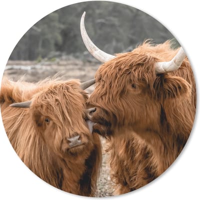 Muismat rond 20x20 cm - Mousepad Schotse hooglander - Koe - Dieren - Ronde muismatten