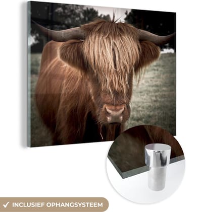 MuchoWow® Glasschilderij 160x120 cm - Schilderij acrylglas - Schotse Hooglander - Boom - Gras - Foto op glas - Schilderijen