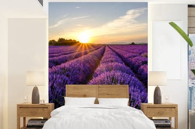 Behang - Fotobehang Lavendel - Bloemen - Zonsondergang - Paars - Breedte 195 cm x hoogte 260 cm