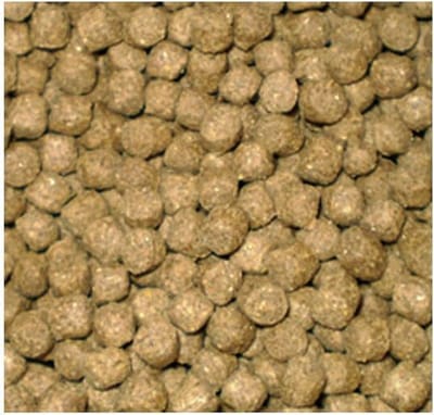 Aqua-Forte Wheat Germ Drijvend Koivoer - 15 Kilo (6 mm)