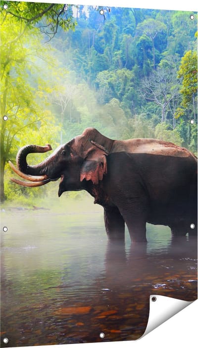 Gards Tuinposter Olifant in het Water - 80x120 cm - Tuindoek - Tuindecoratie - Wanddecoratie buiten - Tuinschilderij