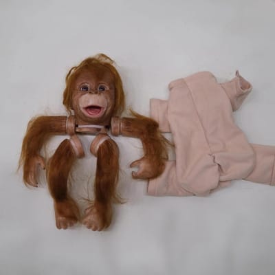 Reborn pop - Realistische pop - Creëren van poppen - Ongelakte set - 457 cm - Niet van toepassing