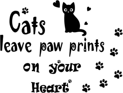 Dailygoody - Zwarte kat muurstickers - Schattige katten stickers - Inspirerende citaten voor Kitty Love Home Decor - PVC muursticker - Decoratie voor