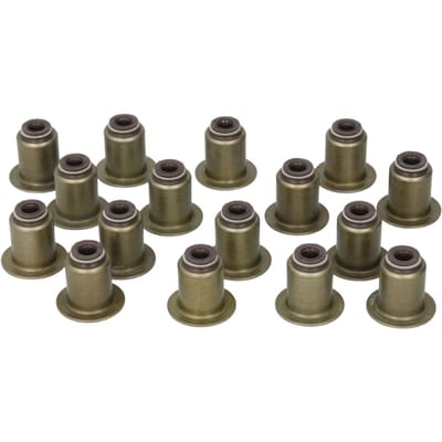 Victor Reinz Pakkingset, klepsteel REINZ 12-38539-01