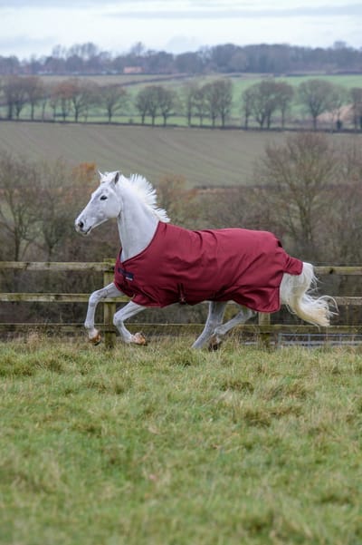 Bucas Freedom Turnout 150 Grams Cherry - 195