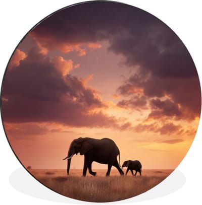 WallCircle - Wandcirkel - Muurcirkel - Olifanten - Grasland - Zonsondergang - Aluminium - Dibond - 30x30 cm - Binnen en Buiten