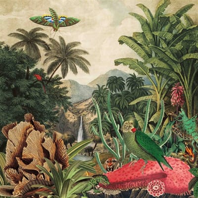 Lagoss - Imaginary Island Musi Vol. 1: Canary Islands (LP)
