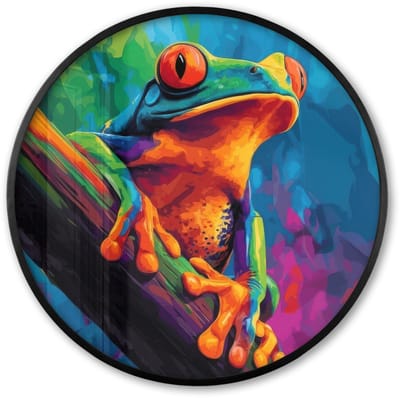 Poster in lijst Rond - Fotolijst 60x60 cm - Posters - Kikker - Felgekleurd - Tak - Regenboog - Ronde posterlijst zwart - Decoratie - Wanddecoratie woonkamer - Muurdecoratie slaapkamer