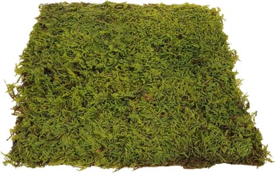 Kunstgras Mat - Decoratief Mosgras - Huis Decoratie - Realistisch Uiterlijk - 30 x 30 cm - Groen