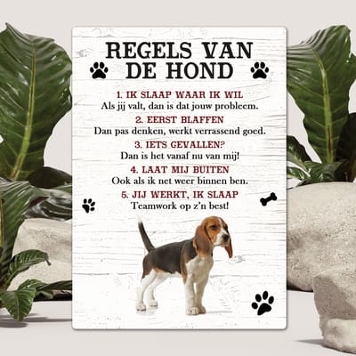 Spreuken - Beagle - Regels Van De Hond - Spreuken Bordjes - Spreukenbord - Tekstborden - Cadeau - Hondenras