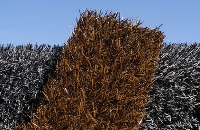 Bruin Kunstgras 2 x 11 meter - 25mm ✅ Nederlandse Productie - Uitgeroepen zachtste Grastapijt ✅ Waterdoorlatend | Tuin | Kind | Dier