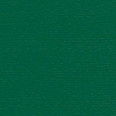 Papicolor Papier A4 dennengroen 105gr-CV 12 vel 300950 - 210x297mm