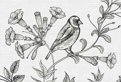 Fotobehang birdy 1 DD110416 Livingwalls Walls by Patel | 3D Fotobehang
