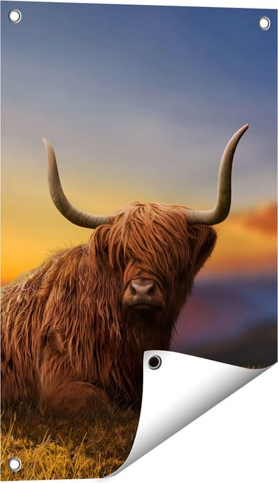 Gards Tuinposter Schotse Hooglander Koe op een Heuvel - 40x60 cm - Tuindoek - Tuindecoratie - Wanddecoratie buiten - Tuinschilderij
