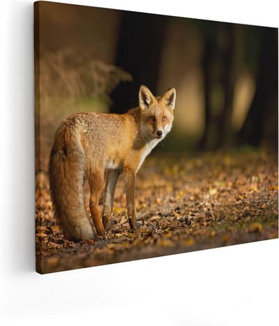 Artaza Canvas Schilderij Vos - 50x40 cm - Wanddecoratie Herfst - Muurdecoratie Dieren - Schilderijen Op Canvas Bos