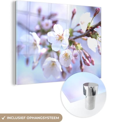 MuchoWow® Glasschilderij 160x120 cm - Schilderij acrylglas - Bloemen - Sakura - Tak - Foto op glas - Schilderijen