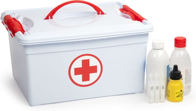 PlasticForte EHBO opbergdoos met vakken - 12L - 34 x 27 x 18 cm - kunststof - verband/pleisters box - Eerste hulp - Verbanddoos