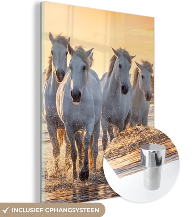 MuchoWow® Glasschilderij 120x160 cm - Schilderij acrylglas - Paarden - Water - Strand - Dieren - Foto op glas - Schilderijen
