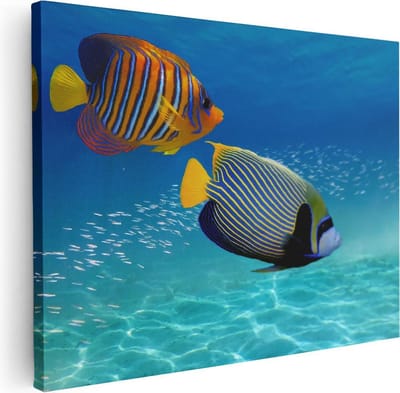 Artaza Canvas Schilderij Koraalvis - 40x30 cm - Klein - Wanddecoratie Vis - Muurdecoratie Zee - Kamer Accessoires Onderwaterwereld