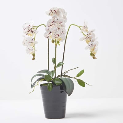 Homescapes Kunstmatige Witte Phalaenopsis Orchidee in Zwarte Keramische Pot 56 cm