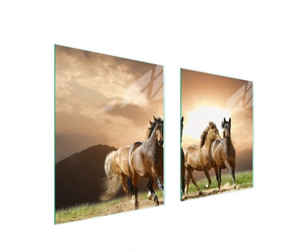 TMK ArtDeko - Glazen Beschermplaat - Koekplaat - Paardenmotief - 85x52 cm