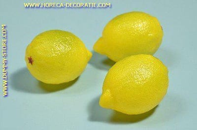 Citroen, 3 stuks - 60x80 mm - Fruitdummy