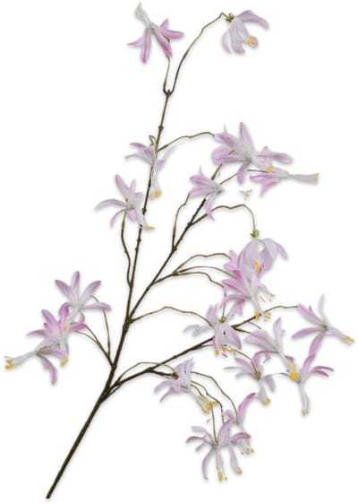Silk-ka Kunstbloem-Zijden Bloem Orchidee Tak Roze 99 cm