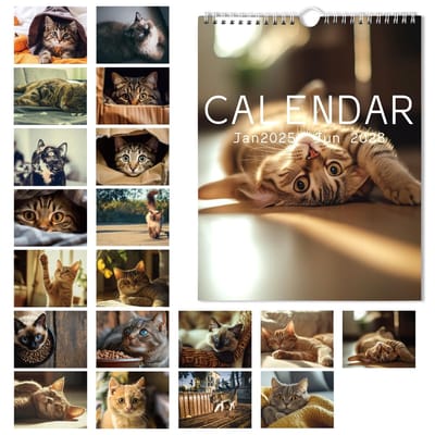 Dailygoods- Wandkalender Kattenthema 2025-2026 - 28x22cm - 18 Maanden - Multi-color - Duurzaam Papier - Grappige Illustraties - Kalender