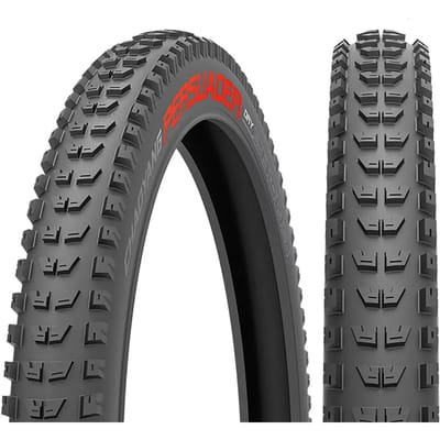 Band Chaoyang TLR Chaoyang Persuader Dry