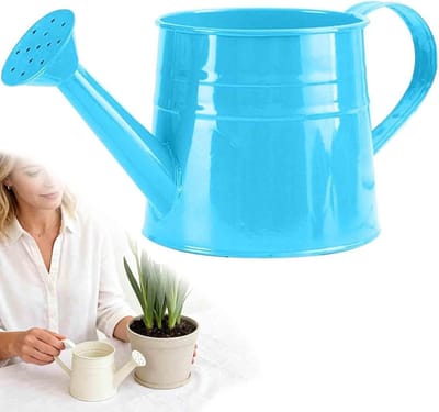 Metalen gieter - Vintage blik - Planten water geven - Verwijderbare tuit - 1 gallon - Blauw