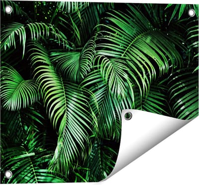 Gards Tuinposter Tropische Palm Bladeren - Groen - 50x40 cm - Tuindoek - Tuindecoratie - Wanddecoratie buiten - Tuinschilderij
