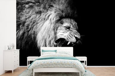 Behang - Fotobehang Leeuw - Portret - zwart - Wit - Dieren - Breedte 525 cm x hoogte 350 cm