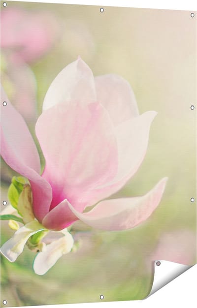 Gards Tuinposter Roze Magnolia Bloem - 90x120 cm - Tuindoek - Tuindecoratie - Wanddecoratie buiten - Tuinschilderij