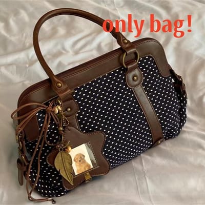 Vintage Y2k Polkadot Strik Schoudertas Japanse Zoete Okseltas Stijlvolle Leuke Lolita Handtas Casual Veelzijdige Pluche Tote Tas brown