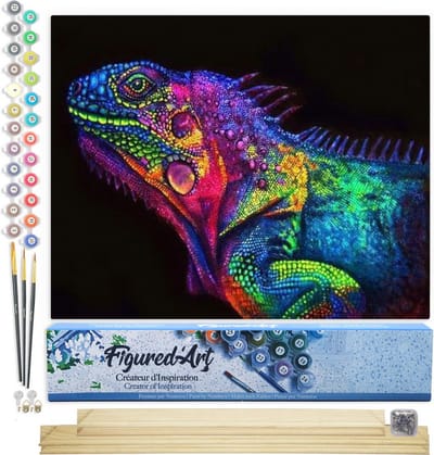 Figured'Art Schilderen op Nummer Volwassenen canvas Kleurrijke kameleon - Handwerk acrylverf Kit DIY Compleet - 40x50cm met DIY houten lijst