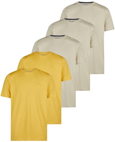 Redmond Heren t-shirt 5 pack Basic