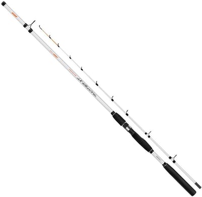 Colmic Panter Xt Bodemvissen Hengel Zilver 2.70 m