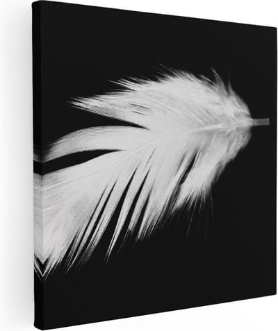 Artaza Canvas Schilderij Veer - 30x30 cm - Klein - Muurdecoratie Stilleven - Wanddecoratie Minimalistisch - Schilderijen Op Canvas