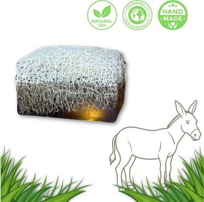 De Vitamineshop - Zeep - Natuurlijke Donkey Milk Soap Blok met Luffa – 100% Natuurlijke & Handgemaakte Scrubzeep - Handzeep - Douchezeep - Cadeau - 120 gr