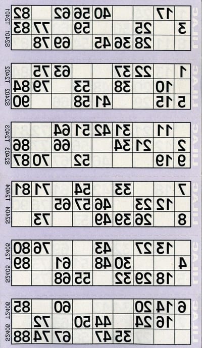 Bingo Flyers - Bingotickets - Spelavond Organiseren - 12000 Stuks - 42 x 10.5 cm - Multicolor